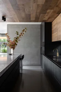 Modern kitchen and dining space with a large island, black cabinets, and a potted plant, featuring a sleek and functional design
