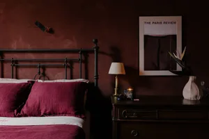 Bedroom with a red wall, a bed, two pillows, a lamp, and a picture above the bed