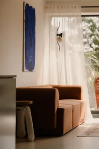 Cozy living space with two couches, chairs, and a potted plant, lit by natural light from a window