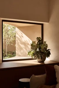 Well-lit indoor living area with a large window, potted plant, and cozy atmosphere