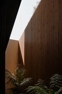 A building with a wooden facade, palm trees, and a large window, bathed in warm sunlight