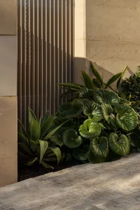 充滿盆栽與大型闊葉植物的花園場景，位於戶外休憩空間，氛圍綠意盎然