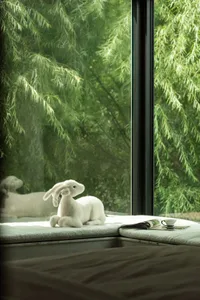 Cozy living space with a couch, window, and table with a cup, suggesting a comfortable and inviting atmosphere