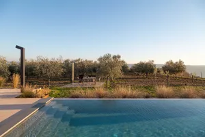 A serene outdoor pool area surrounded by trees and a patio with chairs placed around the pool for relaxation and leisure time