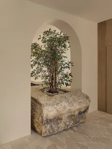A cozy room with a large rock in the corner featuring a tree, two potted plants, and a chair, creating a natural and inviting atmosphere