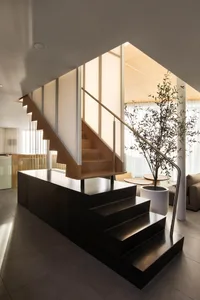 Open living space with a staircase, wooden stairs, black railing, and a potted plant, illuminated by natural light