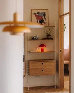 Small room with wooden floors and walls, featuring two bookshelves with books and a potted plant, creating a cozy atmosphere