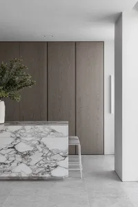 Modern kitchen with a marble countertop, two doors, a potted plant, and a chair, set against a neutral background