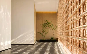 A modern hallway with a wooden door, wooden floor, and a potted plant, featuring a soft and diffused lighting atmosphere