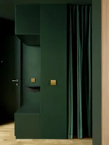 A small, dark room with green walls and a green door, featuring a simple and minimalistic design with a green curtain and a closet or storage area