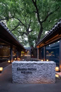 Cozy restaurant with a stone wall, stone table, and a tree in the middle of the room, dimly lit for a warm atmosphere