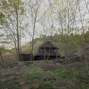 A small house or shed with a stone wall and black roof, set in a grassy area surrounded by trees