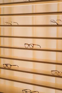 A display case with glass shelves showcasing a variety of eyeglasses in different styles and colors, illuminated for a visually appealing presentation