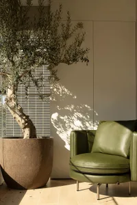 Cozy living room with a green leather chair, a large tree, and natural light from a window, featuring a modern and minimalist style with a focus on simplicity and clean lines