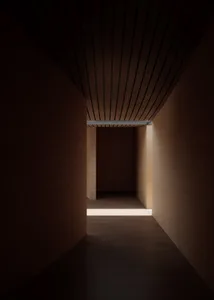 Dark, narrow hallway with a wooden floor and walls, minimal lighting, and an empty space