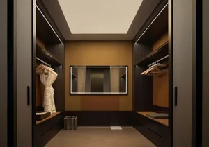 2D floor plan of a modern room with a large closet, dressing area, mirror, and rug, featuring a brown wooden door and neutral colors