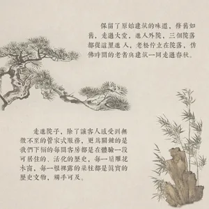 有一棵大樹和一塊岩石在前面，圍繞在松樹和其他自然元素中
