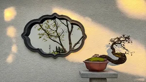 A cozy room with a mirror reflecting a tree outside, decorated with a potted plant, vase, and bowl
