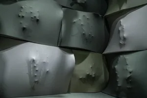 A large, open room with a concrete wall featuring small holes, scattered plants, and a minimalist industrial atmosphere