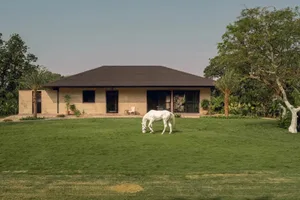 A horse grazes peacefully in the front yard of a house with a brown roof, surrounded by a grassy area