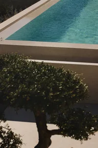 A blue pool surrounded by a white wall and a tree in the foreground, set in a residential or recreational space