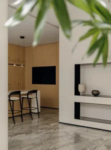 Classic modern kitchen and living room with black and white color scheme, refrigerator, sink, couch, TV, and potted plant