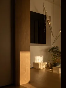 Warm and inviting living space with a wooden door, wooden floor, and a potted plant, lit by natural light