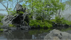 a peaceful garden with a pond surrounded by trees and rocks, featuring a variety of plants and natural atmosphere