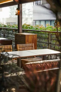 A relaxed outdoor dining area with a wooden table and chairs, surrounded by a potted plant and natural sunlight