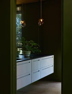 A room with a green wall, black countertop, and green cabinet, featuring a large mirror and a potted plant