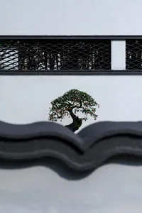 A small bonsai tree in a pot is placed in a corner of a room, surrounded by a black metal fence and a white wall