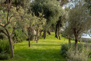 a serene park landscape with a natural building in the background, surrounded by green grass and leafy trees