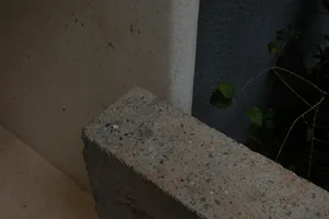 A brick wall with a plant growing out of it, adding greenery to the urban setting