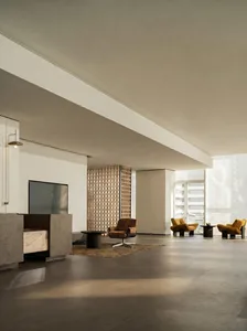 A modern living room with a couch, chair, and TV, decorated with a rug and featuring bright, natural lighting