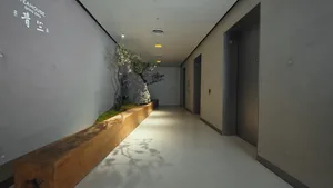 A bright hallway with a large rock and a bonsai tree in a wooden planter, lit by a light source