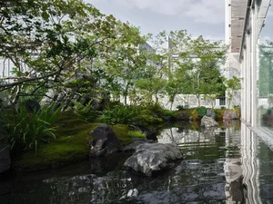 A serene and natural garden scene with a pond surrounded by rocks and plants, and a large building in the background