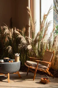 一間現代客廳，擺設一張木製椅子、桌子、沙發和餐桌，周圍種植了花盆和天然材料