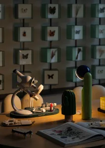 A room with a wooden table and a microscope, featuring butterfly pictures and a green cactus, in a practical and functional space with a touch of natural beauty