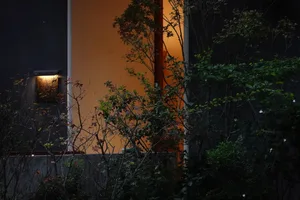Photograph of a yellow building with a doorway and window at night, featuring a potted plant in front of the doorway