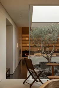 A modern living room with a large glass door, a tree inside, a dining table, a couch, and a sink, featuring a clean design, natural light, and openness