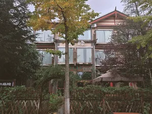 A hotel building with a large tree in front, featuring brick walls and multiple windows and balconies, set in a calm and inviting atmosphere