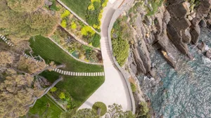 a lush garden with a stone pathway leading to a cliff in the background, surrounded by various plants and flowers