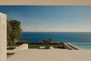 A sunny outdoor space with a large patio, swimming pool, and ocean view surrounded by greenery and a tree