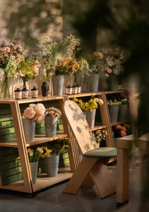 A modern living-dining space with a wooden floor, potted plants, vases, and bottles, featuring a cozy and inviting atmosphere with soft warm lighting