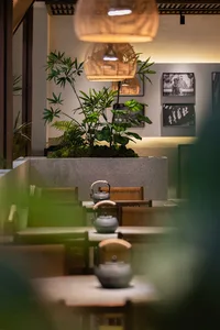 一間現代風格的餐廳，擺放著小型植物，舒適的座位讓多位客人放鬆自在