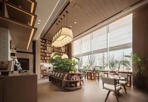 A modern living room with a bookshelf, dining table, chairs, and a potted plant, well-lit by natural light from the windows