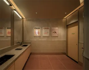 A modern bathroom with a brown floor, sink, mirror, and door, featuring posters on the wall and a potted plant near the sink, with dim lighting creating a cozy atmosphere