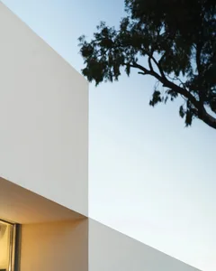 A modern building with a tree in front, creating a calm and serene atmosphere