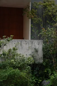 A modern house with a concrete wall covered in ivy, featuring a natural and inviting atmosphere with sunlight streaming in through the open door