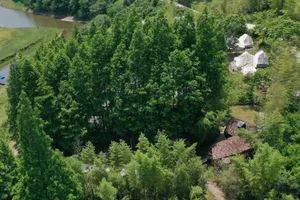 A serene forest scene with a wooden house and a small building in the background, surrounded by trees and natural foliage
